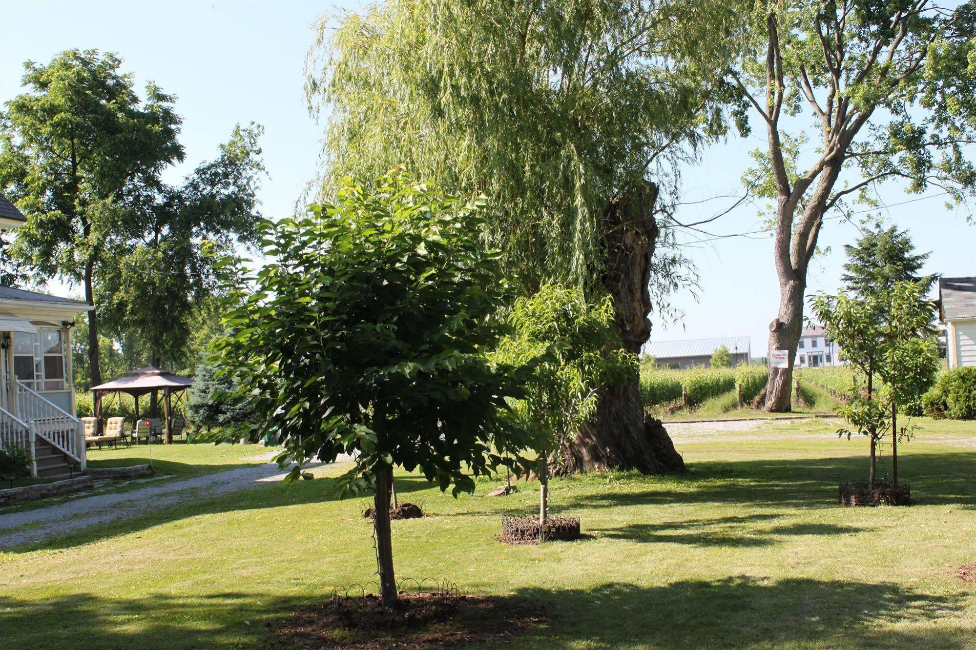 Green Oaks B&B Niagara-on-the-Lake Zewnętrze zdjęcie